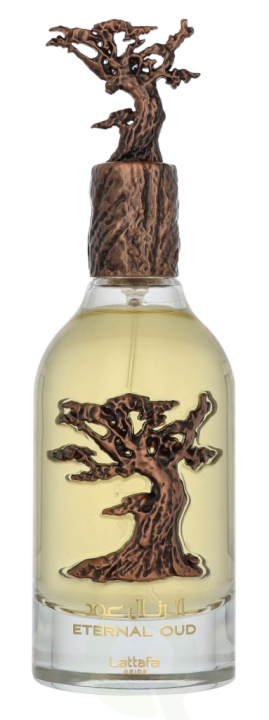 Lattafa Pride Eternal Oud Edp Spray 100 ml i gruppen HELSE OG SKJØNNHET / Duft og parfyme / Parfyme hos TP E-commerce Nordic AB (D19868)