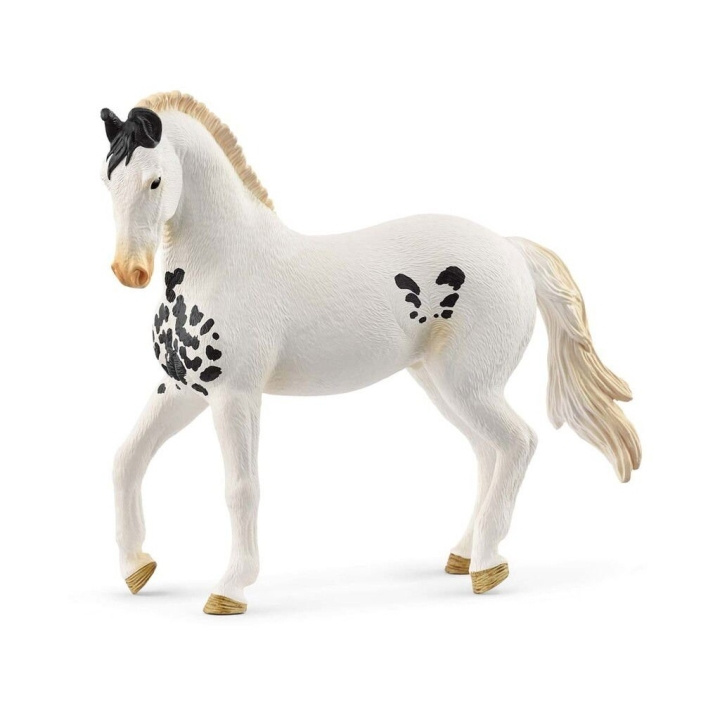 Schleich Marwari Stallion - (14898) i gruppen LEKER, BARN OG BABY / Leker / Figurer, miniatyrer og tilbehør hos TP E-commerce Nordic AB (D21523)