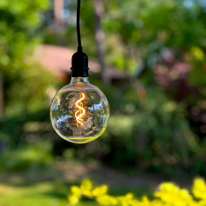 LightsOn Penny Pendellampa Gravity + DecoBulb XL Varmvit i gruppen HJEM, HUS OG HAGE / El og belysning / Utendørsbelysning hos TP E-commerce Nordic AB (D21637)