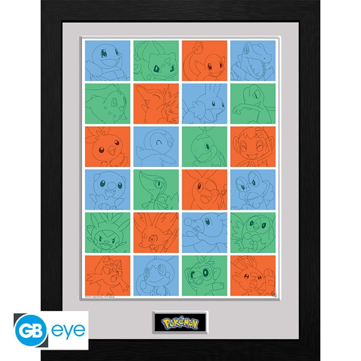 Abysse Innrammet trykk First Partner Grid - 30,5 x 40,6 cm i gruppen SPORT, FRITID & HOBBY / Morsomme produkter / Samlerobjekter hos TP E-commerce Nordic AB (D21976)