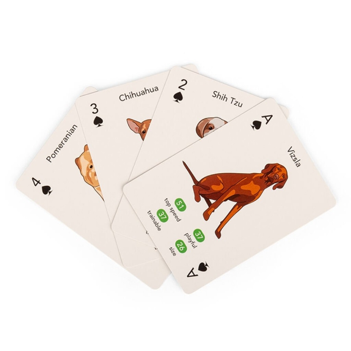 Kikkerland Paws & Play Playing Cards - (GG274) i gruppen LEKER, BARN OG BABY / Spill / Kortspill hos TP E-commerce Nordic AB (D22470)