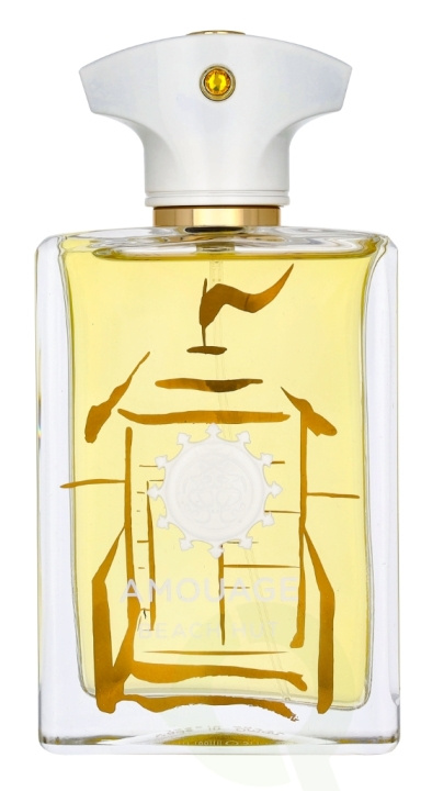 Amouage Beach Hut Man Edp Spray 100 ml i gruppen HELSE OG SKJØNNHET / Duft og parfyme / Parfyme / Parfyme for han hos TP E-commerce Nordic AB (D23498)