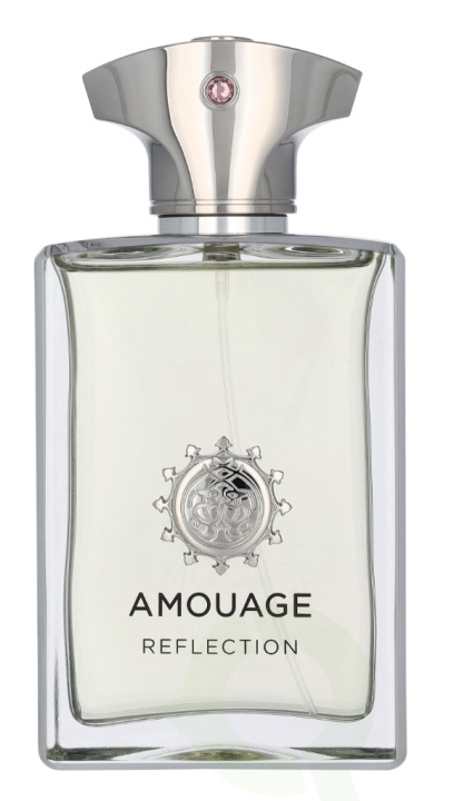 Amouage Reflection Man Edp Spray 100 ml i gruppen HELSE OG SKJØNNHET / Duft og parfyme / Parfyme / Parfyme for han hos TP E-commerce Nordic AB (D23501)