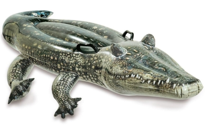 INTEX Realistic Gator Ride-On (657551) i gruppen LEKER, BARN OG BABY / Uteleker / Badeleker hos TP E-commerce Nordic AB (D24520)