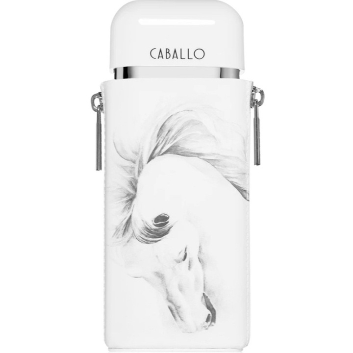 Armaf Caballo Men Edp 100ml i gruppen HELSE OG SKJØNNHET / Duft og parfyme / Parfyme / Parfyme for han hos TP E-commerce Nordic AB (D25144)