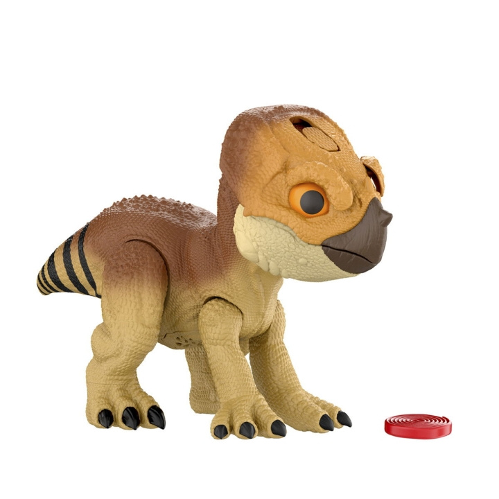 Jurassic World Rebirth Tame \'n Train Dolores (JGC01) i gruppen LEKER, BARN OG BABY / Leker / Figurer, miniatyrer og tilbehør hos TP E-commerce Nordic AB (D27883)