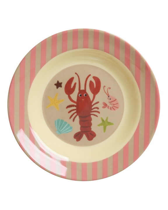 RICE Melaminskål for barn - Coral Ocean - 250 ml i gruppen LEKER, BARN OG BABY / Spise & drikke / Barneserviser hos TP E-commerce Nordic AB (D29805)