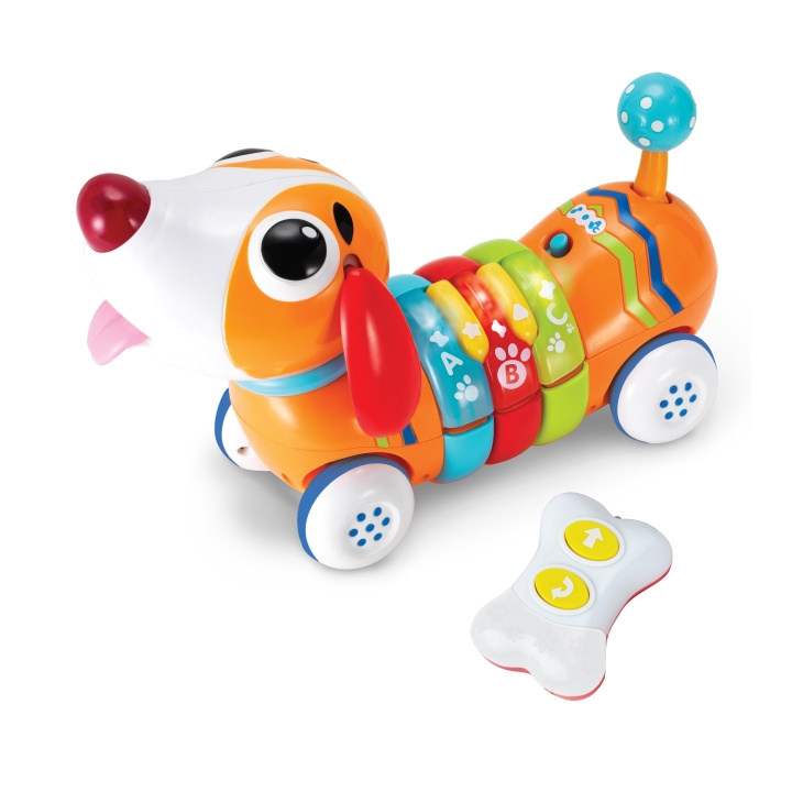 WINFUN R/C Rainbow Pup (1142-NL) i gruppen LEKER, BARN OG BABY / Radiostyrt / Annet radiostyrt hos TP E-commerce Nordic AB (D30031)