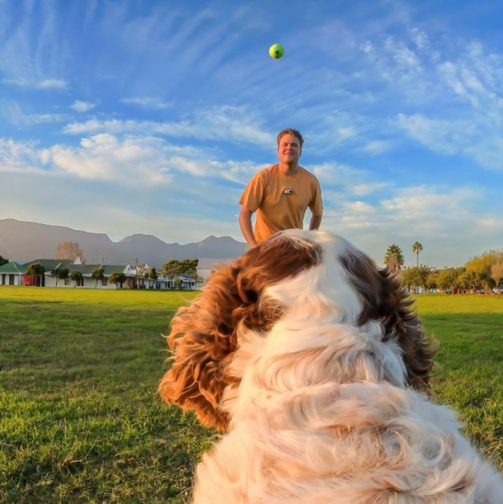 Insta360 GO 3/GO 3S selefeste for kjæledyr størrelse S i gruppen SPORT, FRITID & HOBBY / Action kameraer og tilbehør hos TP E-commerce Nordic AB (D31150)