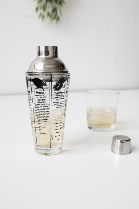 Kikkerland Mix Master Cocktail Shaker 16OZ (BA22) i gruppen HJEM, HUS OG HAGE / Kjøkkenutstyr / Vin- og drinktilbehør hos TP E-commerce Nordic AB (D31204)