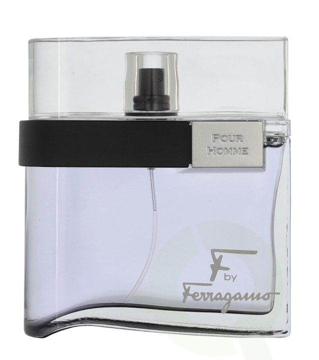 Ferragamo F By Ferragamo Black Edt Spray 100 ml i gruppen HELSE OG SKJØNNHET / Duft og parfyme / Parfyme hos TP E-commerce Nordic AB (D32947)