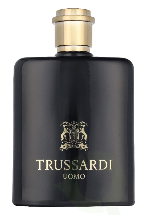 Trussardi Uomo 2011 Edt Spray 100 ml i gruppen HELSE OG SKJØNNHET / Duft og parfyme / Parfyme hos TP E-commerce Nordic AB (D33162)