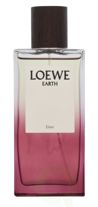 Loewe Earth Elixir Edp Spray 100 ml i gruppen HELSE OG SKJØNNHET / Duft og parfyme / Parfyme hos TP E-commerce Nordic AB (D34038)