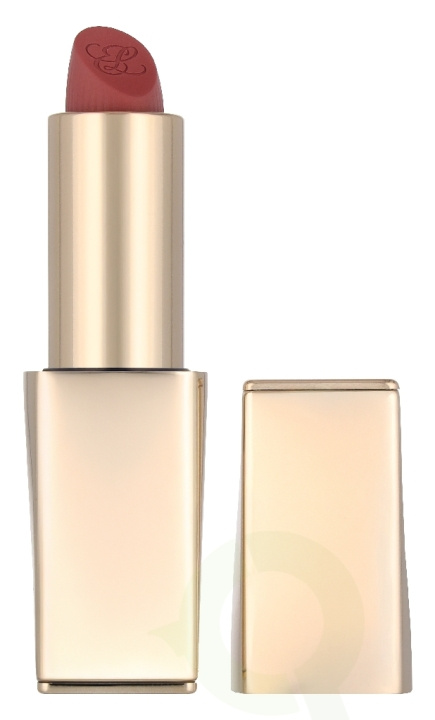 Estee Lauder Pure Color Matte Lipstick 3.5 g #828 i gruppen HELSE OG SKJØNNHET / Makeup / Lepper / Leppestift hos TP E-commerce Nordic AB (D35388)