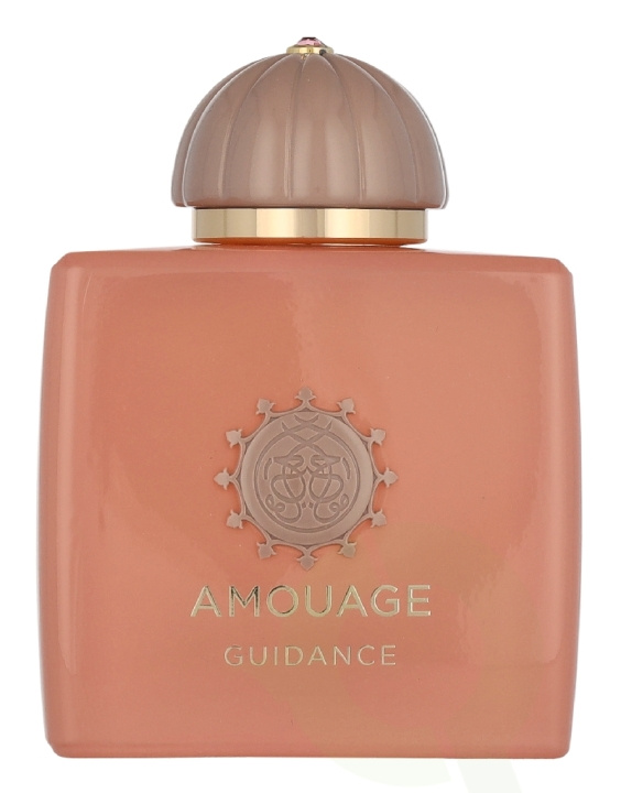 Amouage Guidance Edp Spray 100 ml i gruppen HELSE OG SKJØNNHET / Duft og parfyme / Parfyme / Parfyme for henne hos TP E-commerce Nordic AB (D35461)