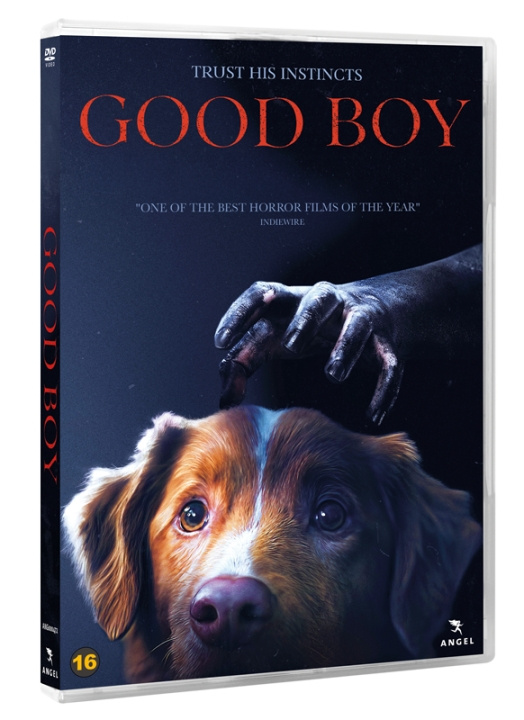GOOD BOY (DVD) i gruppen Elektronikk / Lyd & Bilde / TV og tilbehør / Filmer / DVD hos TP E-commerce Nordic AB (D38107)