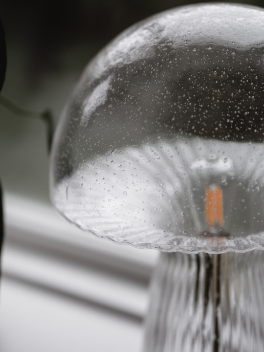 Globen Lighting Bordslampa Fungo 30 Special Edition Klar Globen Lighting i gruppen Elektronikk / Lys / Bordlamper hos TP E-commerce Nordic AB (D44301)