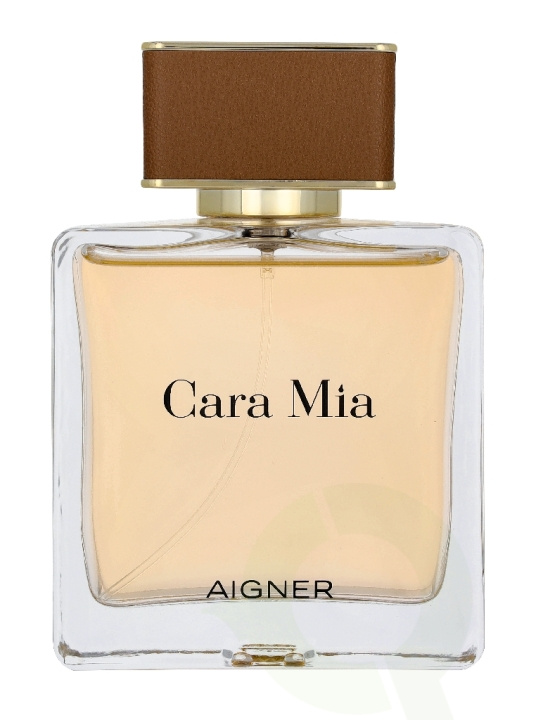 Etienne Aigner Cara Mia Edp Spray 100 ml i gruppen HELSE OG SKJØNNHET / Duft og parfyme / Parfyme / Parfyme for henne hos TP E-commerce Nordic AB (D45080)