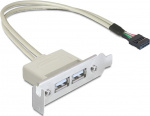 DeLOCK Slot bracket USB 2.0 low profile 2 port
