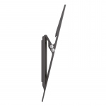 Champion Veggfeste Slim Tilt 32