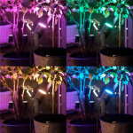 Philips Hue Lily hvit/farget startsett Philips Hue Lily hvit/farget startsett