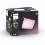 Philips Hue Discover-flomlys hvit/farge 230V Philips Hue Discover-flomlys hvit/farge 230V