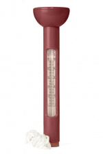 Queen Anne Celsius Badetermometer Turkis