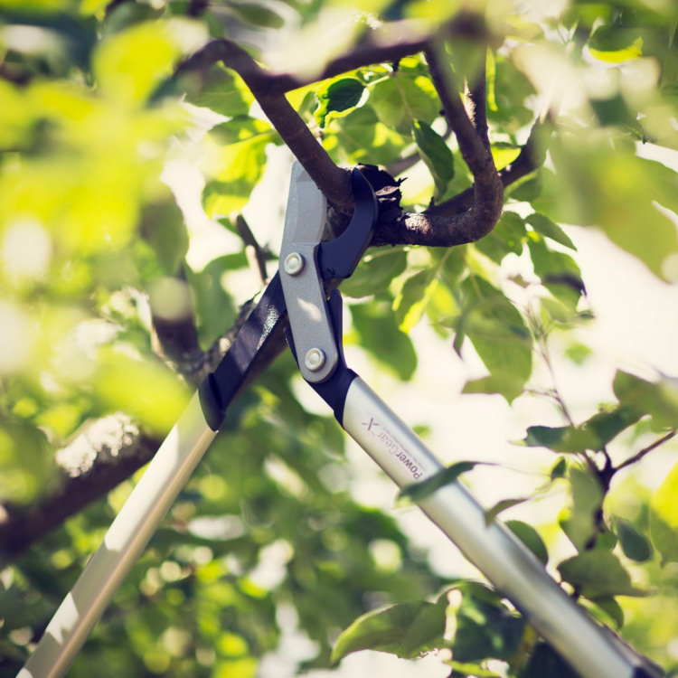 Fiskars PowerGear X grensaks LX94 M