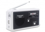 Multifunksjonell veiradio med LED-lys - FM-radio, USB, Solcell, Dynamo RD626