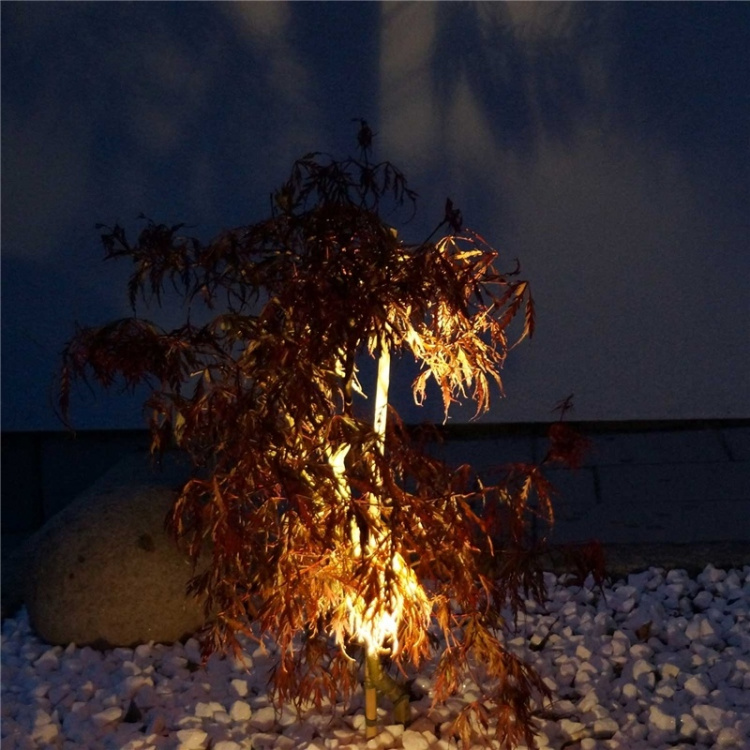 LightsOn Luminus hagespotlight Svart LightsOn Luminus hagespotlight Svart