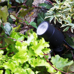 LightsOn Medusa Ground spot med fargefilter LightsOn Medusa Ground spot med fargefilter