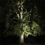 LightsOn Castor In-ground-markspot 1100lm Ø9cm LightsOn Castor In-ground-markspot 1100lm Ø9cm