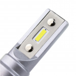 Tåkelyspærer, 13W, sokkel H11, 2-pakning Tåkelyspærer, 13W, sokkel H11, 2-pakning