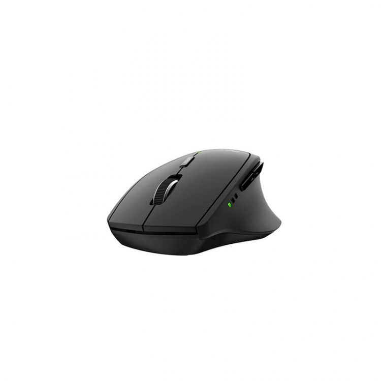Rapoo Mouse MT550 Wireless Multi-Mode Black