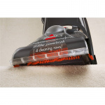 BISSELL Tepperenser StainPro4