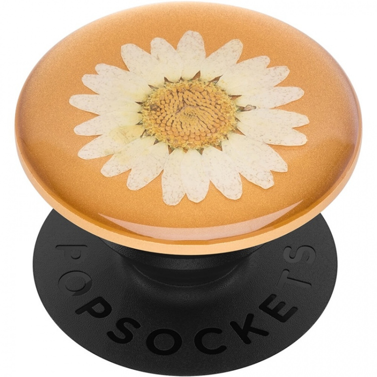 PopSockets Pressed Flower White Daisy Avtagbart Grip med Ställfunktion Premium