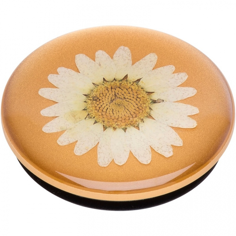 PopSockets Pressed Flower White Daisy Avtagbart Grip med Stativfunksjon Premium