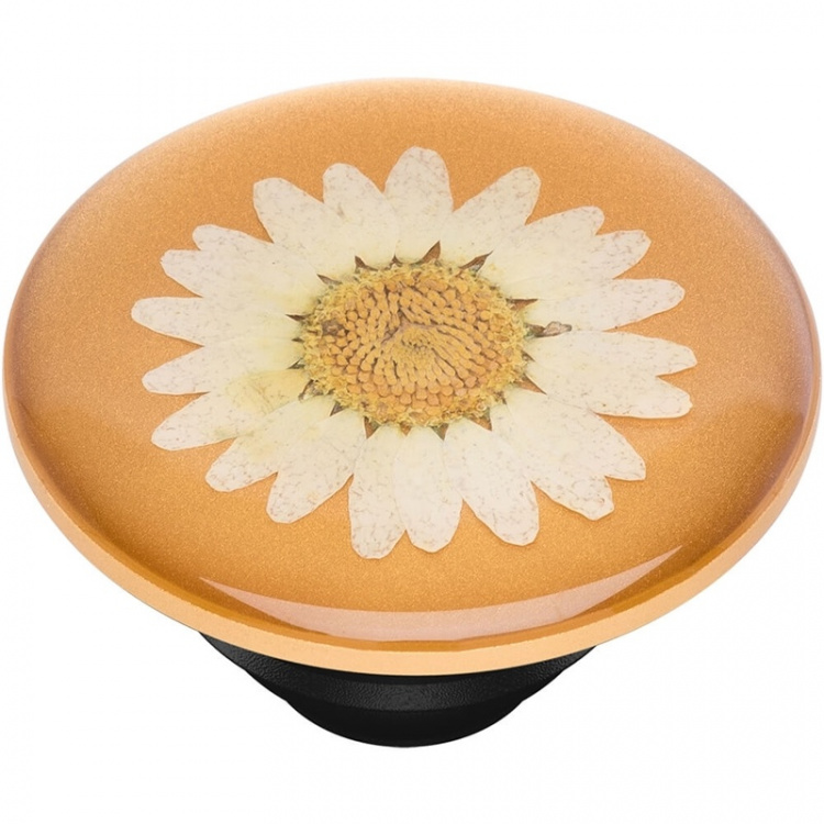 PopSockets Pressed Flower White Daisy Avtagbart Grip med Stativfunksjon Premium
