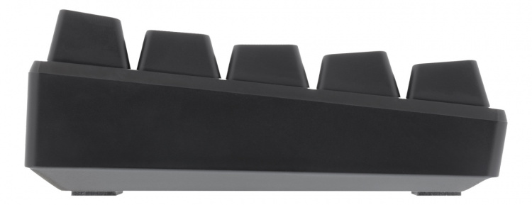 DELTACO GAMING mekanisk tastatur med 60% layout, RGB, røde brytere DELTACO GAMING mekanisk tastatur med 60% layout, RGB, røde brytere