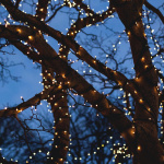 DELTACO SMART HOME WiFi lyskjede, 15m, 120 led, adapter,IP44,WW