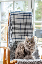 Kosta Linnewäfveri Pledd Tangier