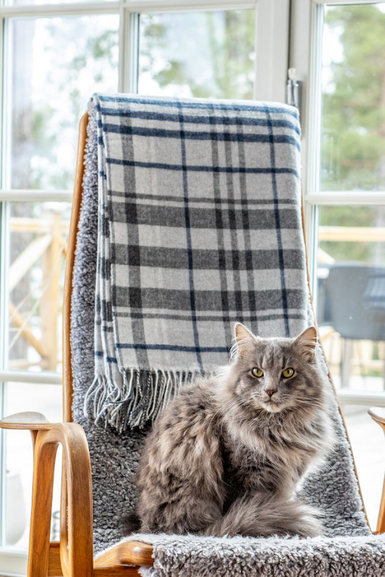 Kosta Linnewäfveri Pledd Tangier