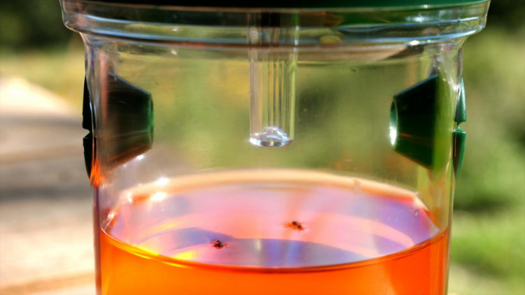 Genius Ideas Solcelledrevet insektfelle