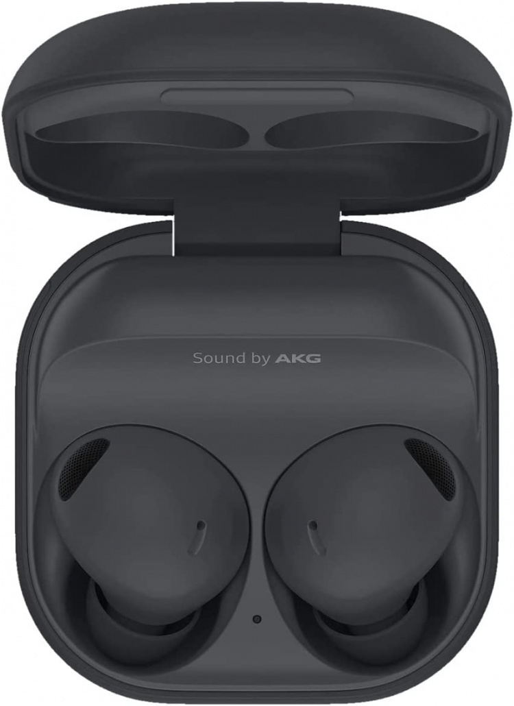 Samsung Galaxy Buds 2 Pro, grafittgrå