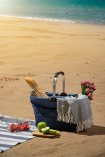 Queen Anne Carry Sammenleggbar kurv 30L, blå