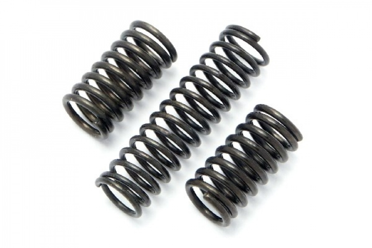 Fjærsett (Micro Rs4)