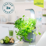 Tregren Kitchen Garden T3 Grå Tregren Kitchen Garden T3 Grå