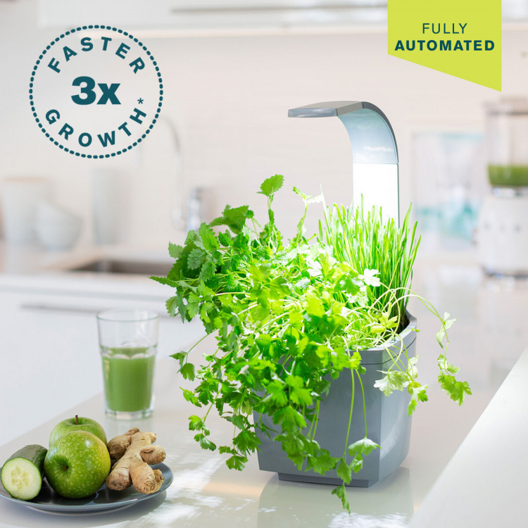 Tregren Kitchen Garden T3 Grå Tregren Kitchen Garden T3 Grå