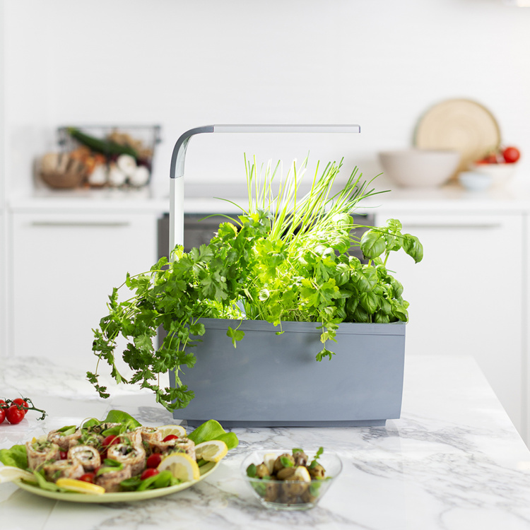 Tregren Kitchen Garden T6 Grå Tregren Kitchen Garden T6 Grå