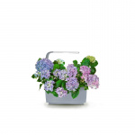 Tregren Kitchen Garden T6 Grå Tregren Kitchen Garden T6 Grå